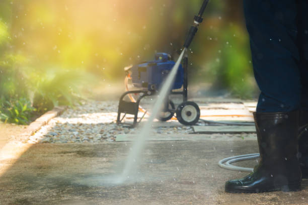 Best Sidewalk and Walkway Cleaning  in Crowley Lake, CA
